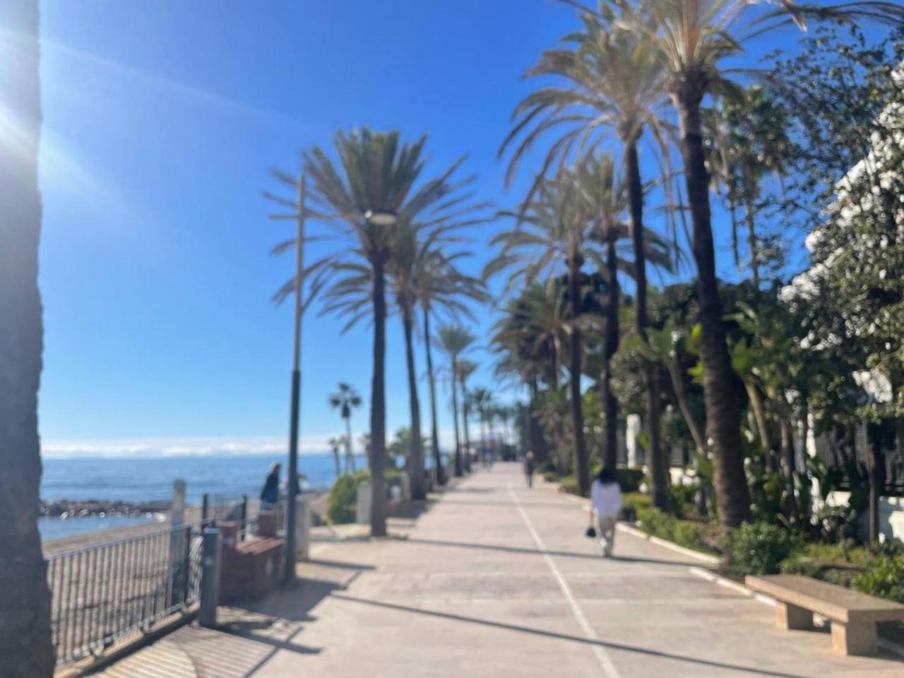 Paco * Marbella